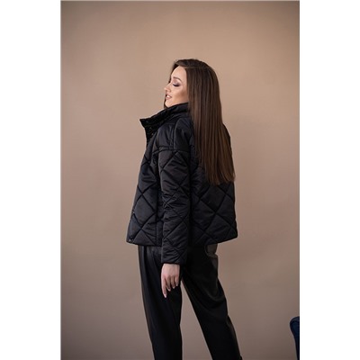 Куртка женская демисезонная 22300 (черный 2)