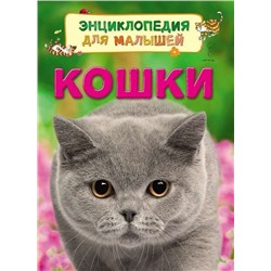Кошки. Энциклопедия для малышей