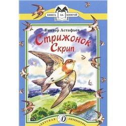 Уценка. КК Астафьев. Стрижонок Скрип