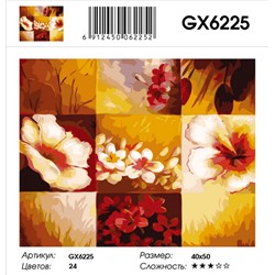 Картины 40х50 GX, GX 6225