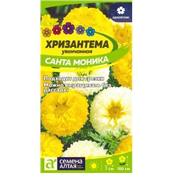 Цветы Хризантема Санта Моника увенчанная/Сем Алт/цп 0,3 гр. многолетник