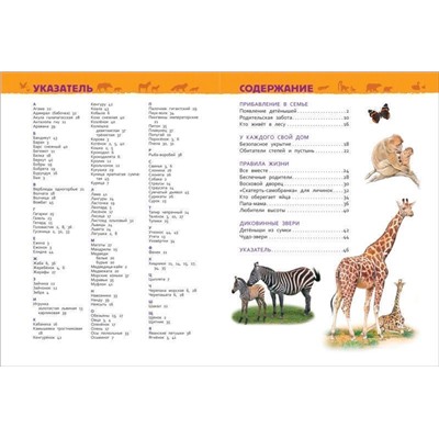 Детеныши животных. Энциклопедия для детского сада